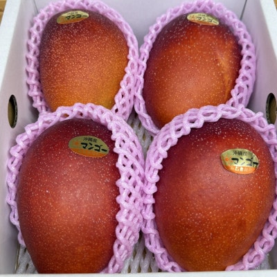 【2026年6月から順次発送・化粧箱】JA厳選のアップルマンゴー2kg(3～6玉)【配送不可地域：離島】