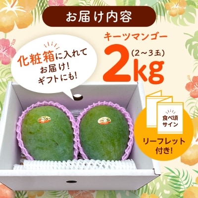 【2026年8月から順次発送・化粧箱】JAおきなわ厳選!沖縄県産キーツマンゴー2kg(2～3玉)【配送不可地域：離島】