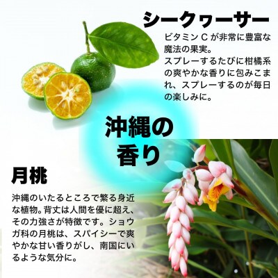 【詰替用】RESCUE ボタニカルローション