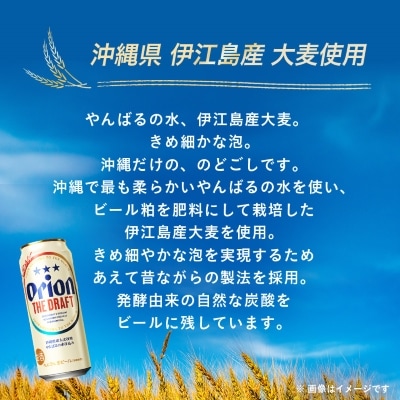 オリオンビール オリオン ザ・ドラフト(500ml×24本)