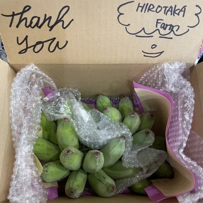 吊るして追熟!飾れる沖縄アップルバナナ2kg