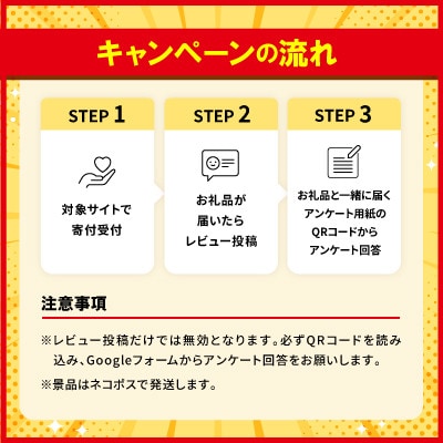【沖縄本場の味・レビューキャンペーン対象】与那覇食品の沖縄そば＆ソーキそば 各2食セット