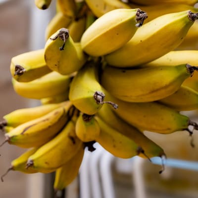 JAおきなわが厳選!季節の沖縄県産バナナ約2kg(旬の品種おまかせ)