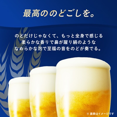 オリオンビール オリオン ザ・プレミアム(350ml×24本)