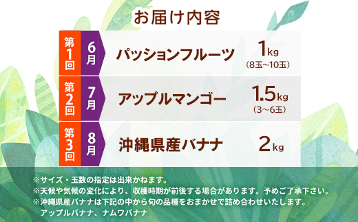 【発送月固定定期便】JAおきなわ厳選フルーツセット(パッションフルーツ・マンゴー・島バナナ)全3回【配送不可地域：離島】