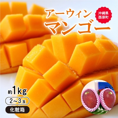 【2026年6月から順次発送・化粧箱】JA厳選のアップルマンゴー1kg(2～3玉)【配送不可地域：離島】