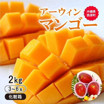 【2026年6月から順次発送・化粧箱】JA厳選のアップルマンゴー2kg(3～6玉)【配送不可地域：離島】