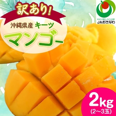 【2026年8月から順次発送・訳あり】JAおきなわ厳選!沖縄県産キーツマンゴー2kg(2～3玉)【配送不可地域：離島】