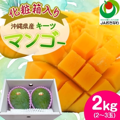 【2026年8月から順次発送・化粧箱】JAおきなわ厳選!沖縄県産キーツマンゴー2kg(2～3玉)【配送不可地域：離島】