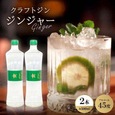 クラフトジン ジンジャー2本