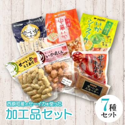 西原町産のせーいかを使った加工品7種セット【配送不可地域：離島】