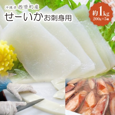 セーイカ お刺身用 約1kg(200g×5柵)【配送不可地域：離島】