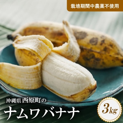 西原町の栽培期間中農薬不使用のナムワバナナ3kg