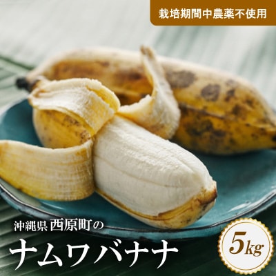 西原町の栽培期間中農薬不使用のナムワバナナ5kg