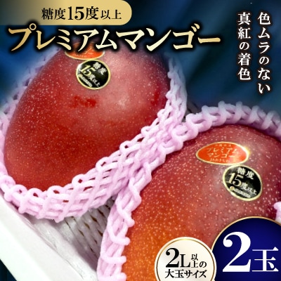【2026年6月から順次発送】糖度15度以上!JAおきなわが厳正したプレミアムマンゴー2玉【配送不可地域：離島】