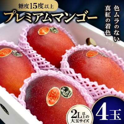 【2026年6月から順次発送】糖度15度以上!JAおきなわが厳正したプレミアムマンゴー4玉【配送不可地域：離島】