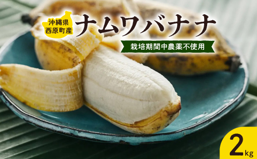 西原町の栽培期間中農薬不使用のナムワバナナ2kg
