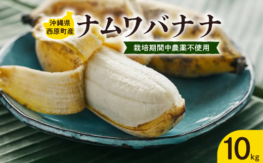 西原町の栽培期間中農薬不使用のナムワバナナ10kg