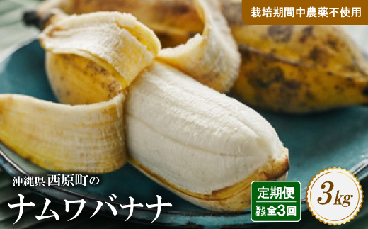 【毎月定期便】西原町の栽培期間中農薬不使用のナムワバナナ3kg全3回