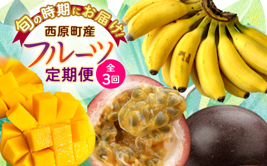 【発送月固定定期便】JAおきなわ厳選フルーツセット(パッションフルーツ・マンゴー・島バナナ)全3回【配送不可地域：離島】