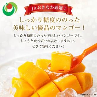 【2026年6月中旬から順次発送・訳あり】完熟アップルマンゴー約2kg(3玉～7玉)【配送不可地域：離島】