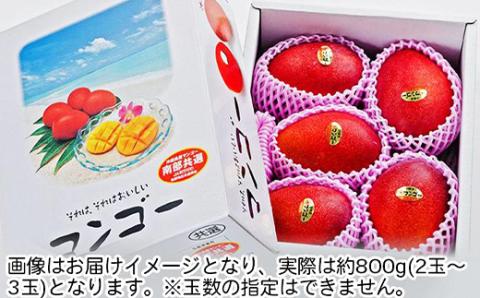 【2026年6月中旬から順次発送・優品】完熟アップルマンゴー約800g(2玉～3玉)【配送不可地域：離島】