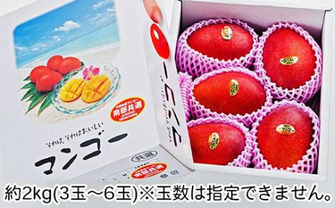 【2026年6月中旬から順次発送・優品】完熟アップルマンゴー約2kg(3玉～6玉)【配送不可地域：離島】