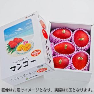 【2026年6月中旬から順次発送・優品】完熟アップルマンゴー約1.5kg(6玉)【配送不可地域：離島】