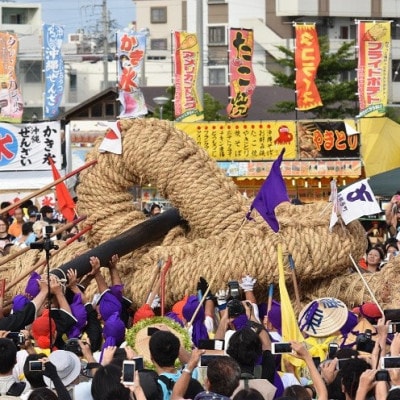 【数量限定】与那原大綱曳 カナチ綱