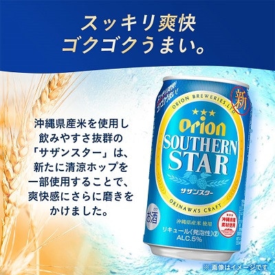 オリオンビール オリオン サザンスター(350ml×48本)
