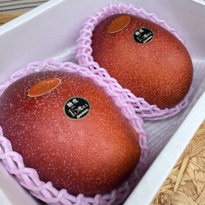 【2026年6月から順次発送】糖度15度以上!JAおきなわが厳選したプレミアムマンゴー1kg【配送不可地域：離島】