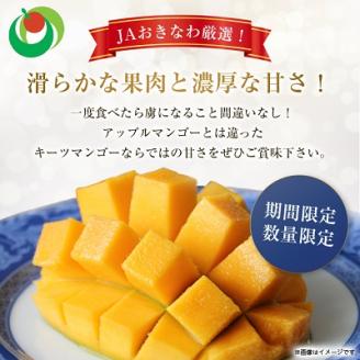 【2026年8月から順次発送・贈答用】JAおきなわ厳選!幻のキーツマンゴー約2kg(2～3玉)【配送不可地域：離島】