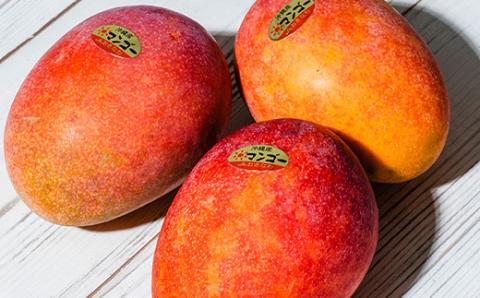 【2026年6月中旬から順次発送・優品】完熟アップルマンゴー約2kg(3玉～6玉)【配送不可地域：離島】