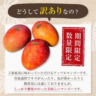 【2026年6月中旬から順次発送・訳あり】完熟アップルマンゴー約800g(2玉～4玉)【配送不可地域：離島】