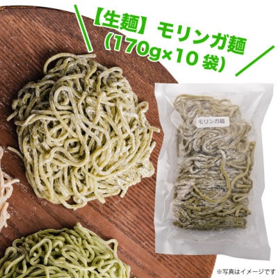 【生麺】もちもち触感のモリンガ麺10食セット【配送不可地域：離島】