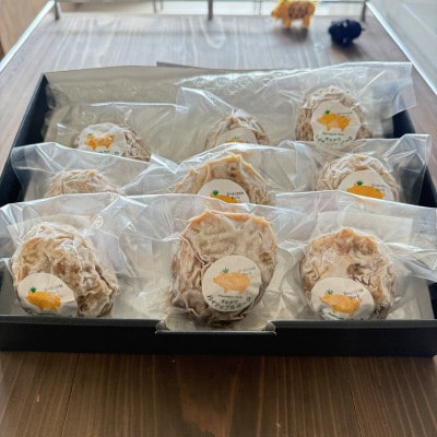 パイナップルポーク ハンバーグ 9個 ギフト箱入【配送不可地域：離島】