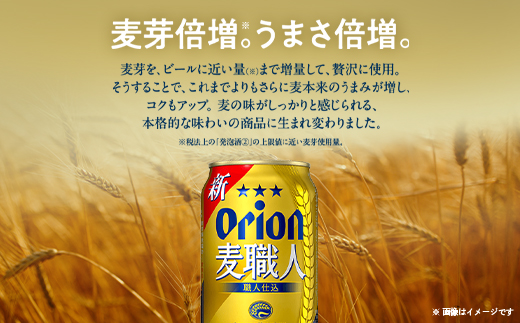 【毎月定期便】毎月届く楽しみ!オリオン麦職人 350ml×24本全12回