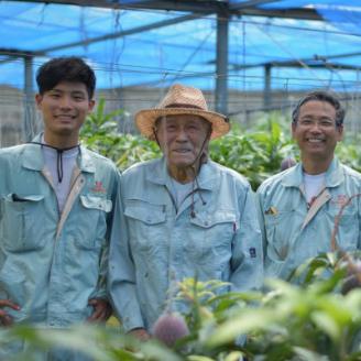 【2026年6月から順次発送】田場農園の栽培期間中農薬不使用マンゴー2kg(5～6玉)【配送不可地域：離島】