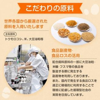 与那原町産の新鮮な卵160個(赤卵)【配送不可地域：離島】