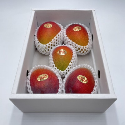 与那原町産の完熟マンゴー2kg(4～5玉)【配送不可地域：離島】