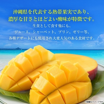 【2026年6月下旬から順次発送・訳あり】完熟アップルマンゴー約1.5kg(3玉～6玉)【配送不可地域：離島】