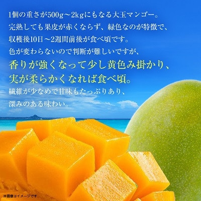 【2026年8月中旬から順次発送・贈答用】幻のキーツマンゴー約2kg(2玉～3玉)【配送不可地域：離島】