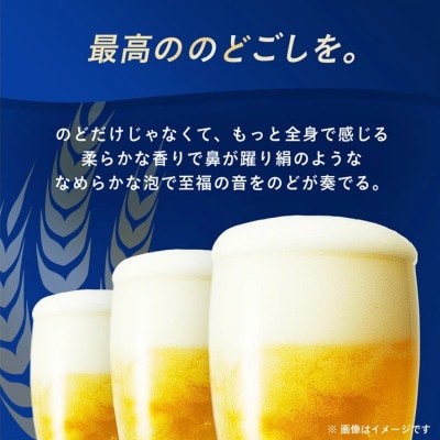 オリオンビール　オリオンザ・プレミアム(350ml×24本)