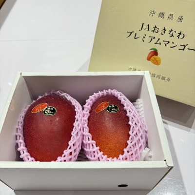 【2026年6月から順次発送】糖度15度以上!JAおきなわが厳選したプレミアムマンゴー1kg【配送不可地域：離島】