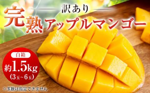 【2026年6月中旬から順次発送・訳あり】完熟アップルマンゴー約1.5kg(3玉～6玉)【配送不可地域：離島】