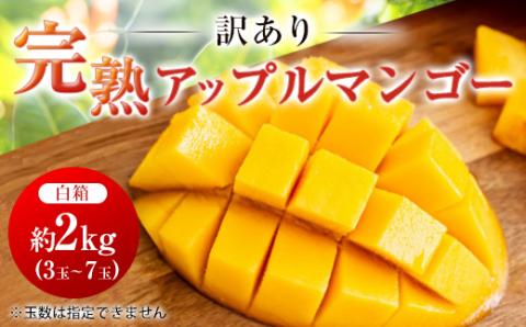 【2026年6月中旬から順次発送・訳あり】完熟アップルマンゴー約2kg(3玉～7玉)【配送不可地域：離島】