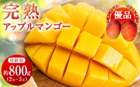 【2026年6月中旬から順次発送・優品】完熟アップルマンゴー約800g(2玉～3玉)【配送不可地域：離島】