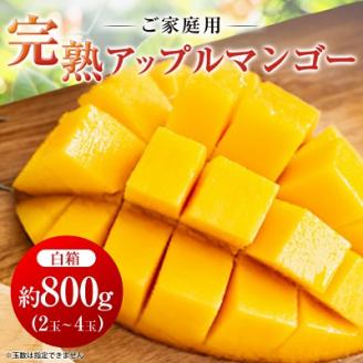 【2026年6月中旬から順次発送・訳あり】完熟アップルマンゴー約800g(2玉～4玉)【配送不可地域：離島】