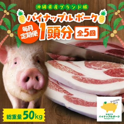 【毎月定期便】沖縄県産ブランド豚 パイナップルポーク1頭分(総重量50kg)全5回【配送不可地域：離島】