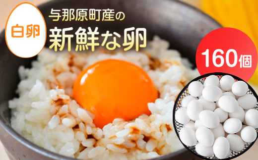 与那原町産の新鮮な卵160個(白卵)【配送不可地域：離島】